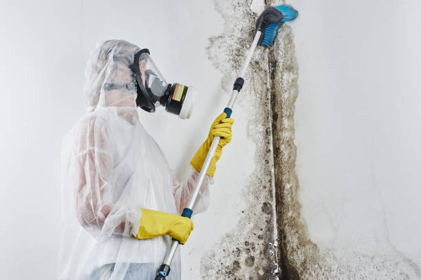 Best Crawl Space Mold Removal  in San Angelo, TX