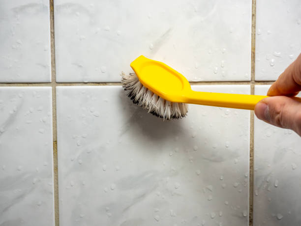 Best Mold Damage Repair  in San Angelo, TX