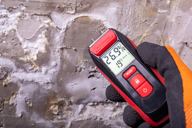 Best Emergency Mold Removal  in San Angelo, TX