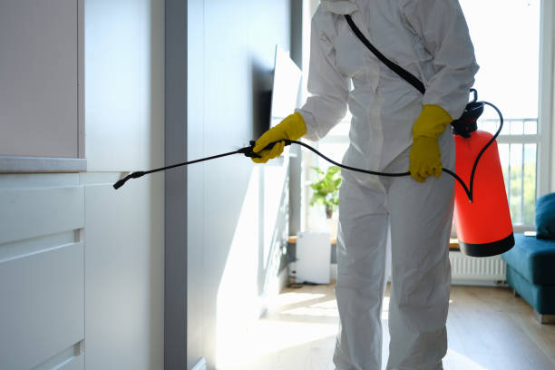Best Mold Remediation Experts  in San Angelo, TX